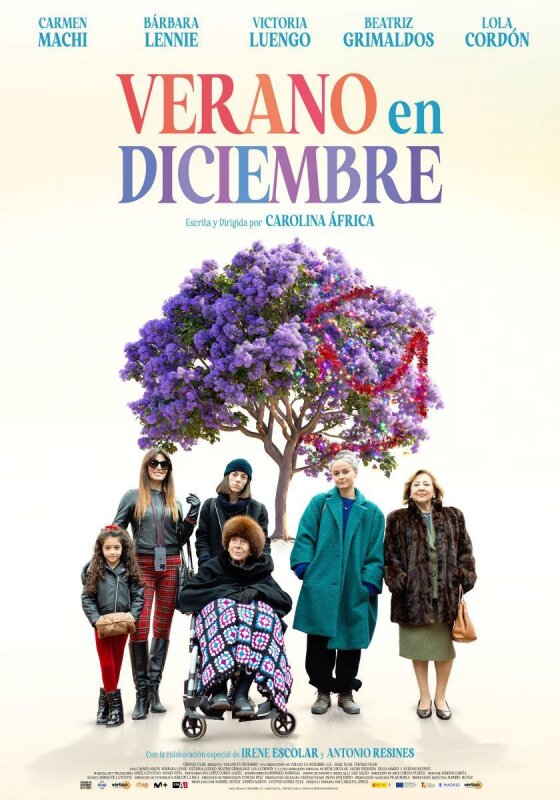 Verano en diciembre BDrip XviD Castellano